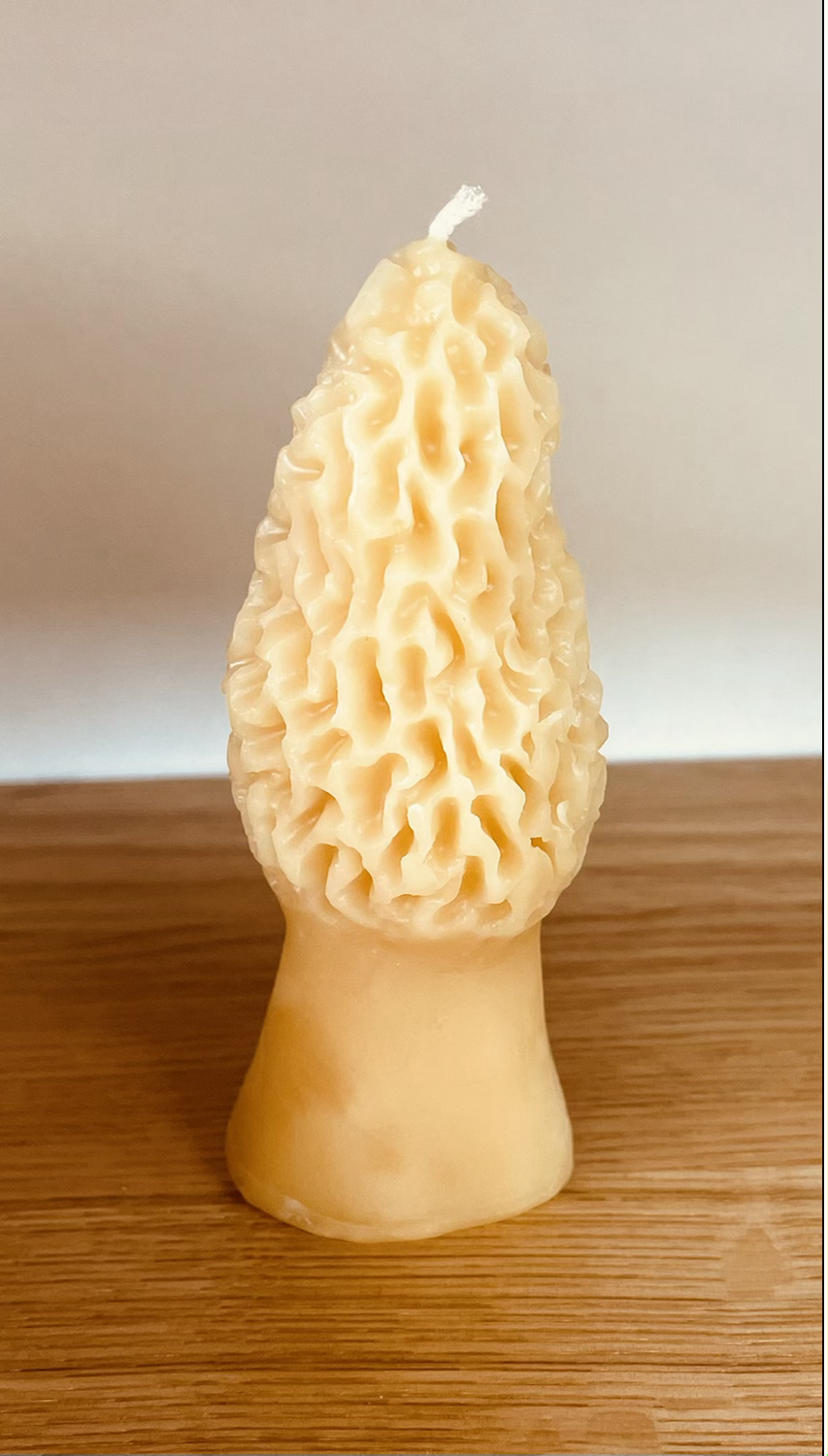MOREL PILLAR CANDLE 4.5" Tall, 100% Pure Natural Yellow Beeswax, Mushroom