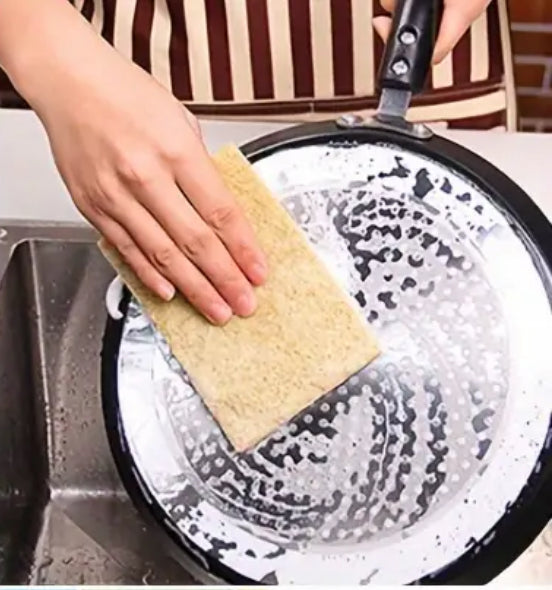 Cocnut Fiber Scouring Pads