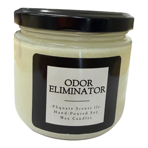 Enzyme Odor Eliminator Spray & Soy Candle | Natural Odor Neutralizer for Home, Car & Fabrics