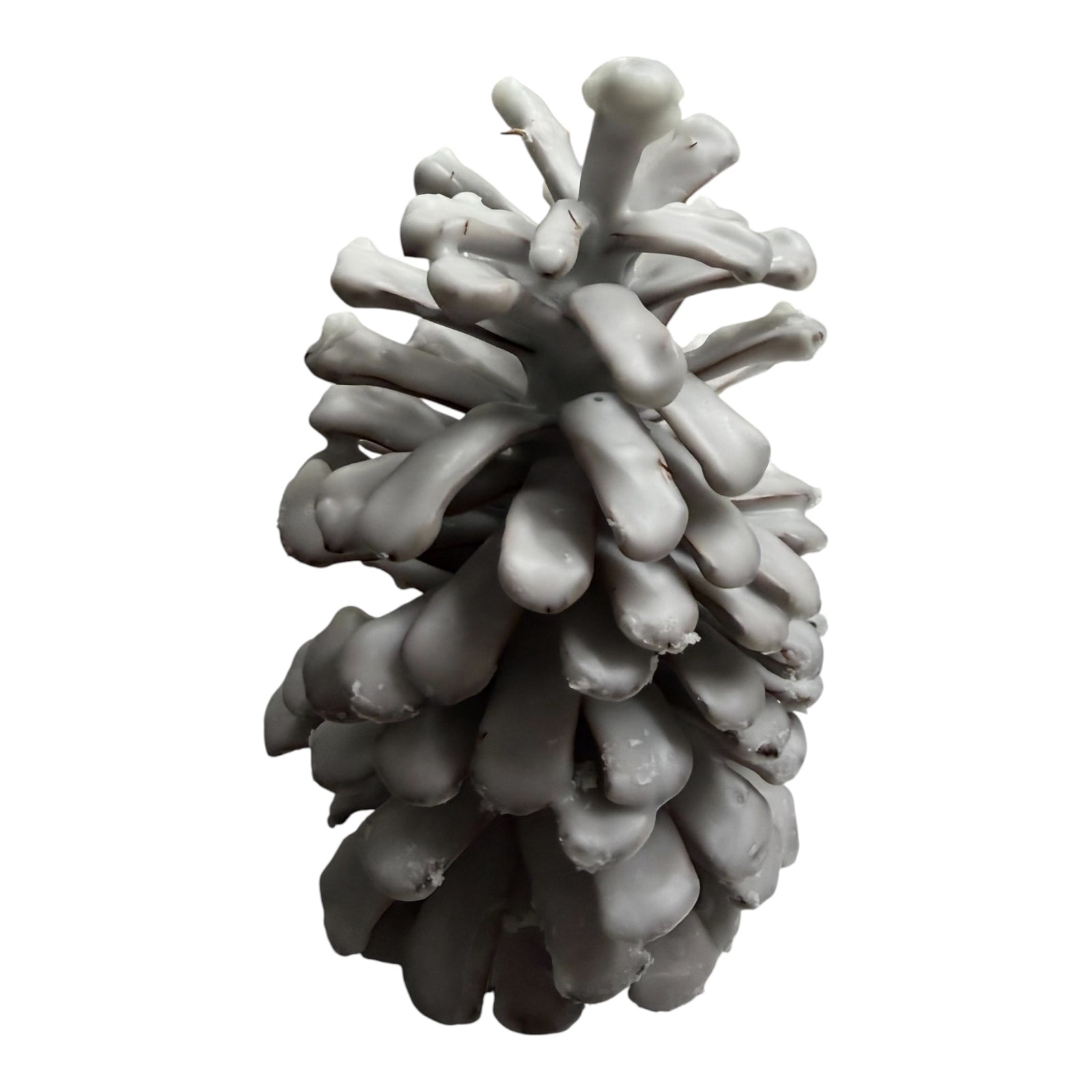Wax-Dipped Scented Pine Cones for Home Décor – Cinnamon or Pine