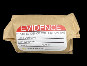 BURN THE EVIDENCE