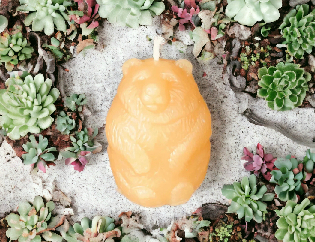 Beeswax - BEAR Pillar  VOTIVE 2.5" Tall, 100% Pure Natural Yellow Beeswax , Long Burning,