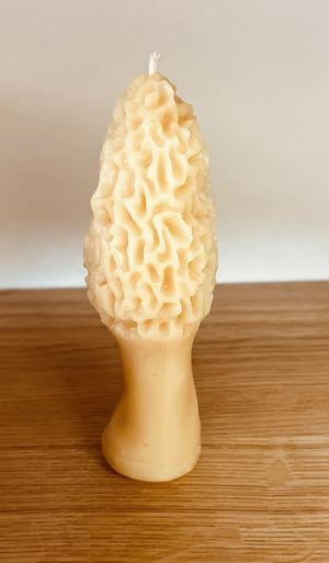 Beeswax - MOREL PILLAR CANDLE 4.5" Tall, 100% Pure Natural Yellow Beeswax, Mushroom