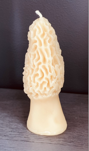 MOREL PILLAR CANDLE 4.5" Tall, 100% Pure Natural Yellow Beeswax, Mushroom