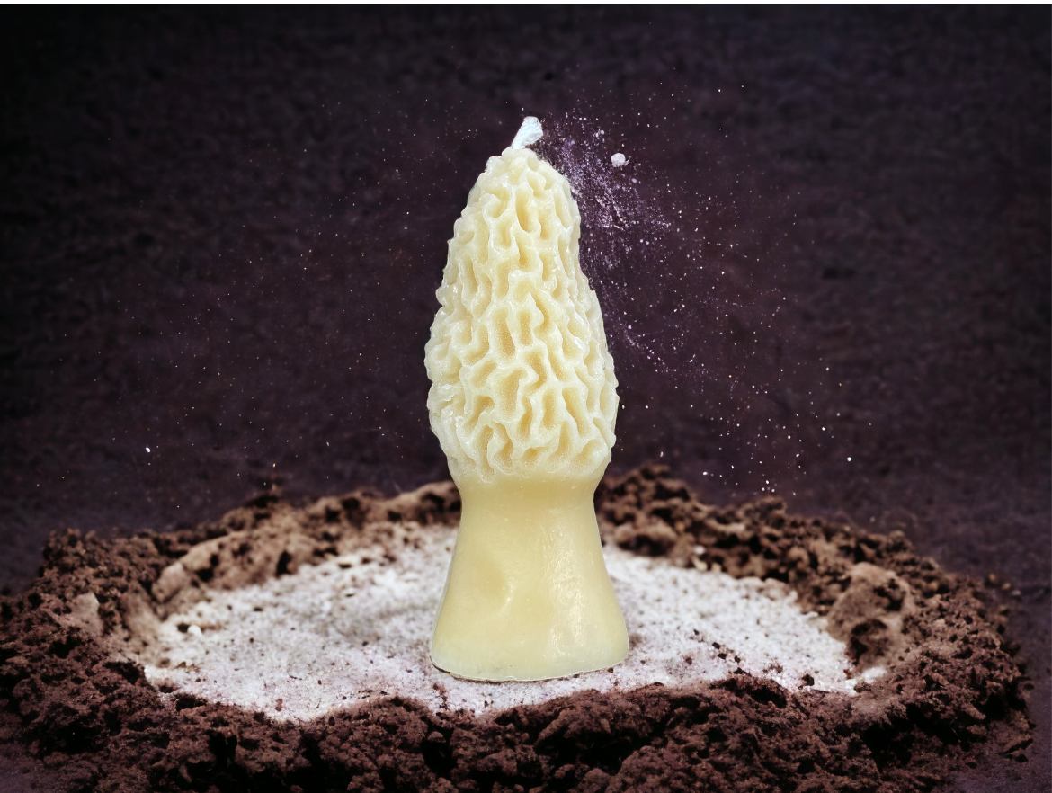 Beeswax - MOREL PILLAR CANDLE 4.5" Tall, 100% Pure Natural Yellow Beeswax, Mushroom